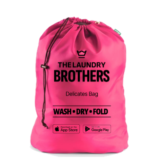 Delicate Bag from The Laundry Brothers